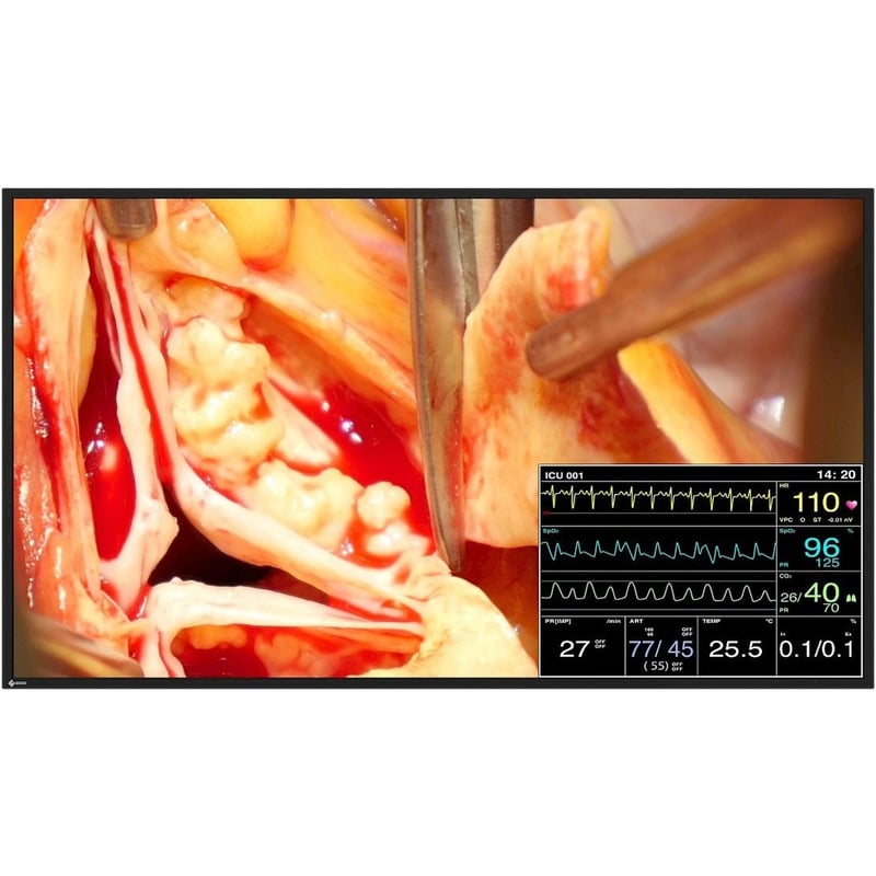 EIZO CuratOR LX491W-BK Full HD LCD Monitor - 16:9 - Black - Thumbnail 1