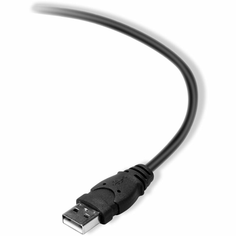 Belkin 3ft USB Cable - USB-A M to USB-B M - Printer, Scanner, Hard Drive compatible - Thumbnail 2