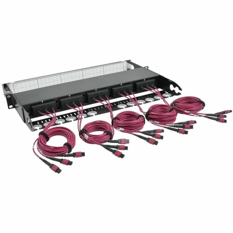 Tripp Lite by Eaton 40/100Gb Fiber Breakout Patch Panel 40Gb to 4 x 10Gb 100Gb to 4 x 25Gb 15 MTP QSFP to 60 LC Duplex OM4 50/125 Multimode Ports 1U - Thumbnail 2