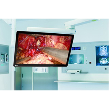 EIZO CuratOR EX2620-3D Full HD LCD Monitor - 16:9 - Black, White - Thumbnail 5