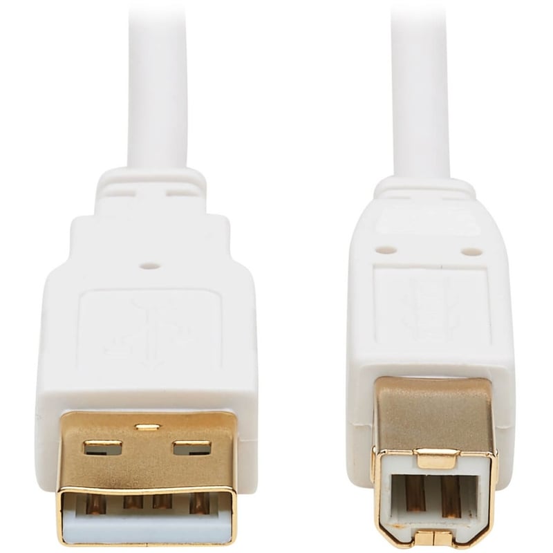 Eaton Tripp Lite Series Safe-IT USB 2.0 A to B Antibacterial Cable (M/M), White, 10 ft. (3.05 m) - Thumbnail 1