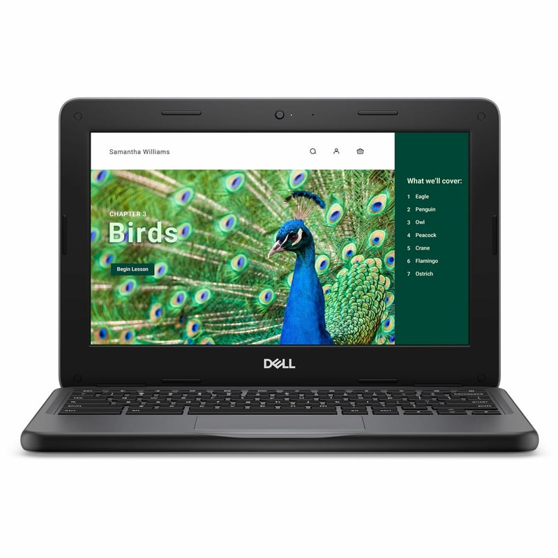 CHRMBK 3120 N100 4GB 1DIMM 64GB EMMC 11.6 HD+T 1366X768 3C 65W - Thumbnail 1
