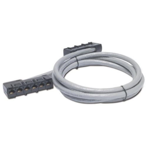 APC Cat5e CMR Data Distribution Cable - Thumbnail 1