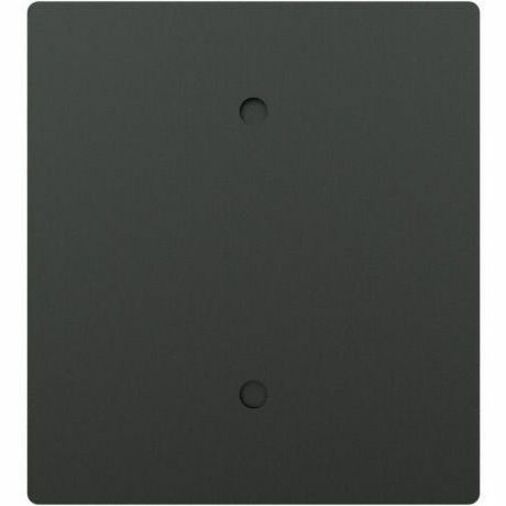 Raritan PX3-5553-N1Q1 54-Outlets PDU - Thumbnail 4