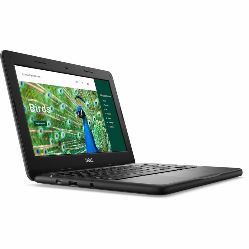 Dell Chromebook 3000 3120 11.6" Clamshell Chromebook - HD - 60 Hz - Intel N-Series N100 - 4 GB - 64 GB Flash Memory - English (US) Keyboard - Thumbnail 2