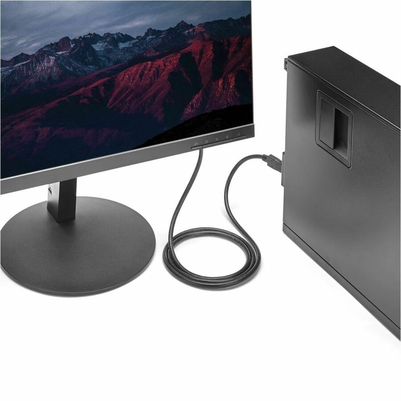 StarTech.com 6ft (1.8m) DisplayPort to DVI Cable, DisplayPort to DVI Adapter Cable, DP to DVI-D Converter, Replaced by DP2DVI2MM6 - Thumbnail 2