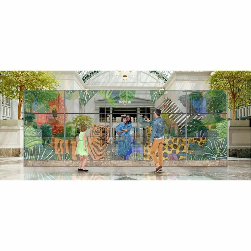 LG 55'' Transparent OLED with Expandable Design - Thumbnail 4