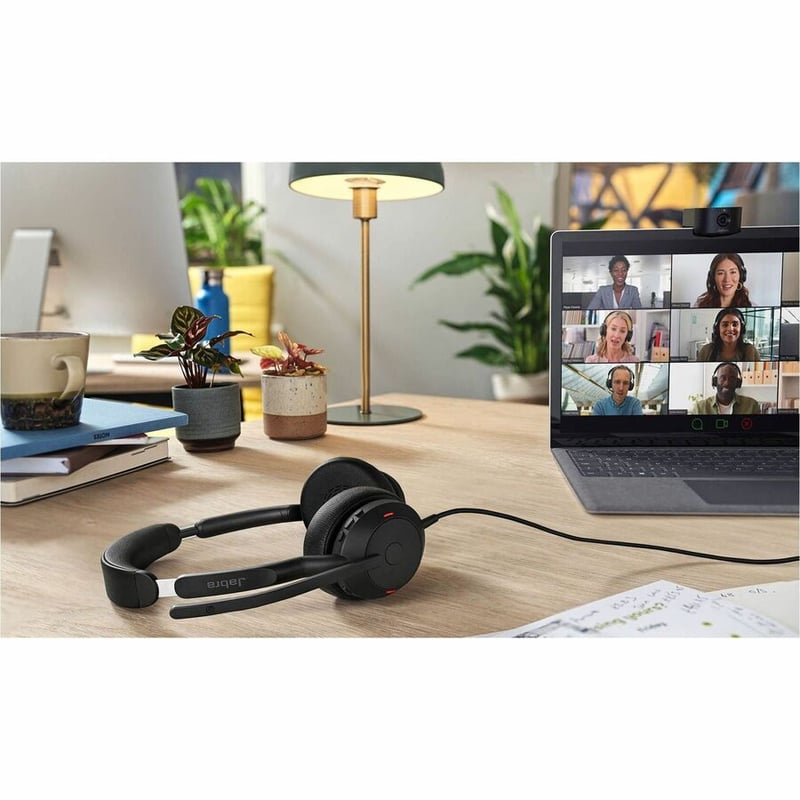 JABRA EVOLVE2 50 USB-C/A MS STEREO W/O BT - Thumbnail 5
