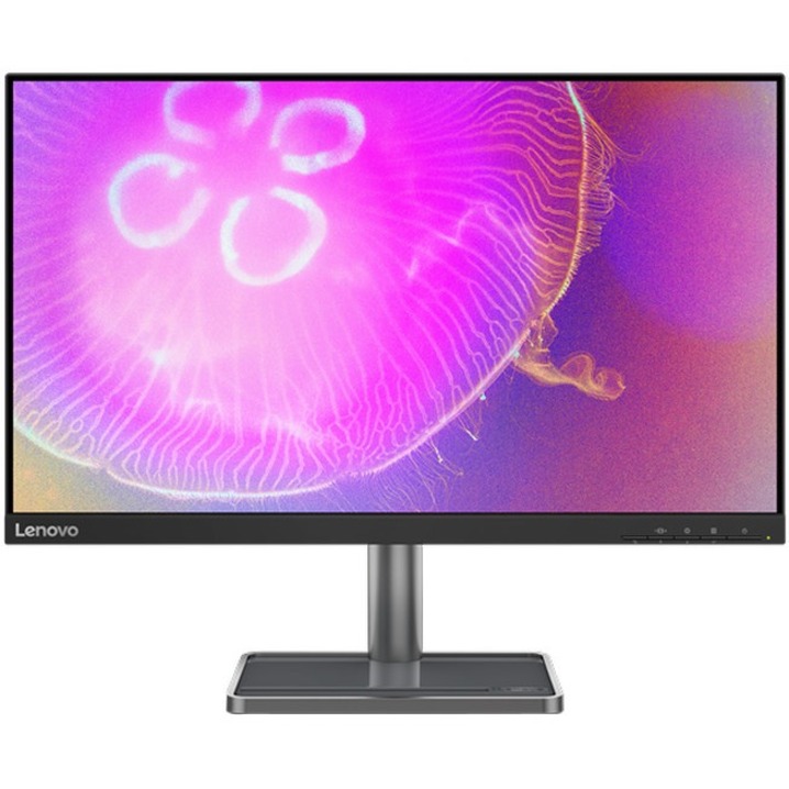 Lenovo L24q-35 24" Class WQHD LCD Monitor - 16:9