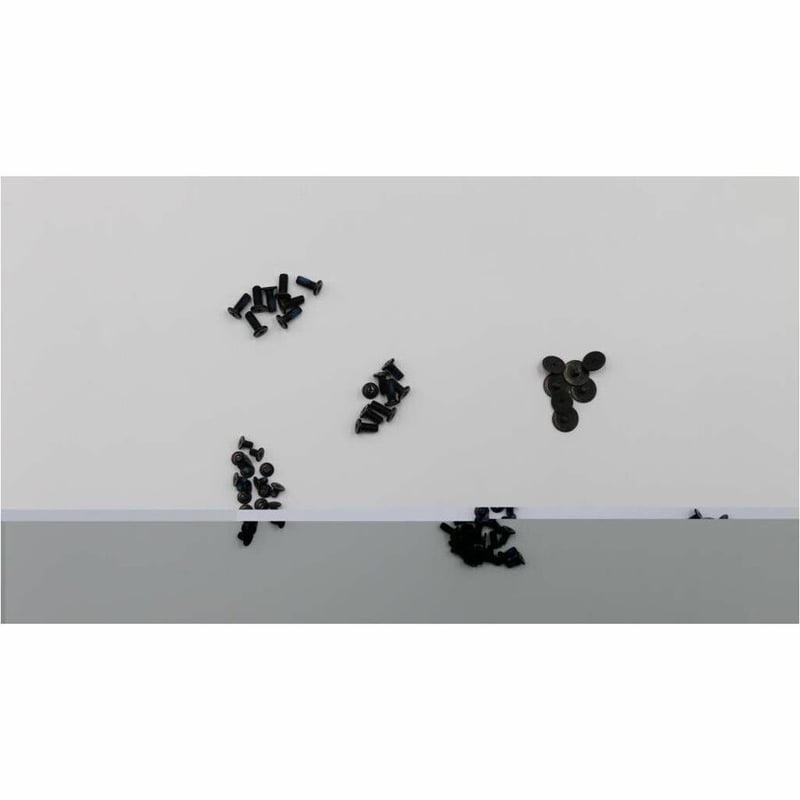 LENOVO DCG SOURCING Screw Pack B 81ER - Thumbnail 2