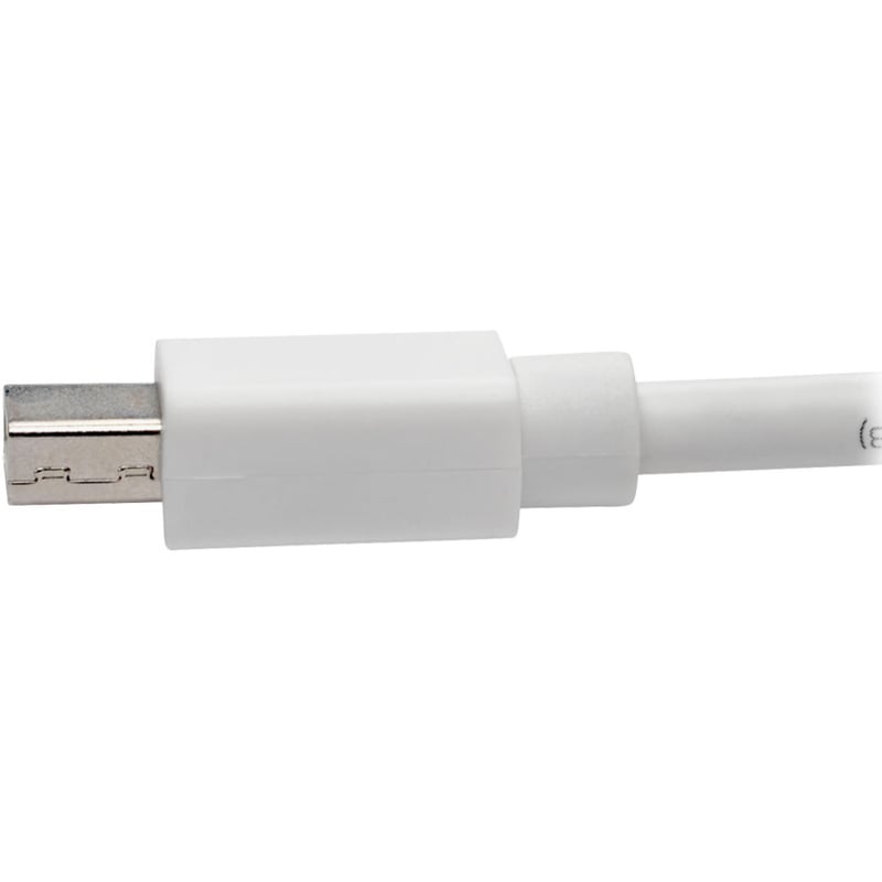 Eaton Tripp Lite Series Keyspan Mini DisplayPort to DisplayPort Adapter Cable (M/F), 4K 60 Hz, DP 1.2, HDCP 2.2, 10 ft. (3.1 m) - Thumbnail 4