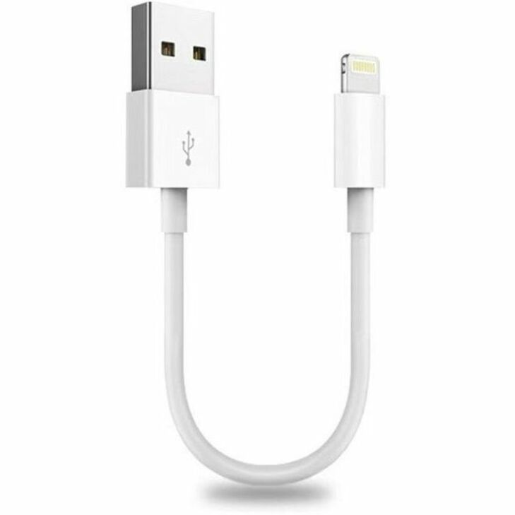 1FT USBA TO LIGHTNING MFI CABLE CHARGING AND DATA TRANSFER WHITE - Thumbnail 3