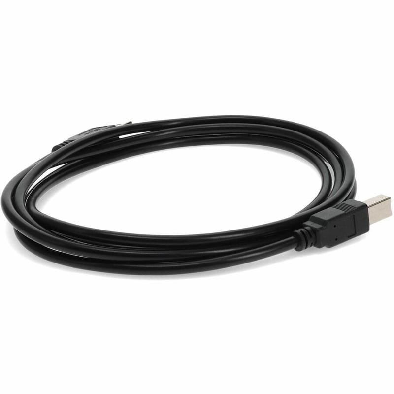AddOn 10ft USB 2.0 (A) Male to USB 2.0 (B) Male Black Cable - Thumbnail 5