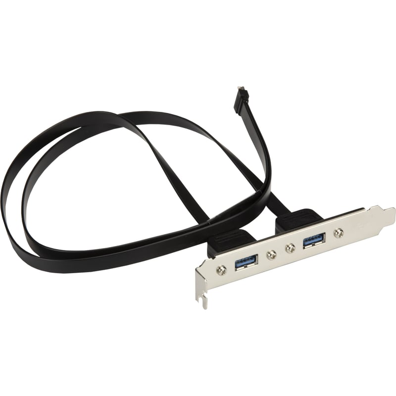 Supermicro USB 3.1 B Key to USB 3.0A Female x2 55cm Cable - Thumbnail 1