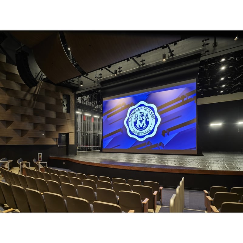 Draper Paragon V 324" Projection Screen
