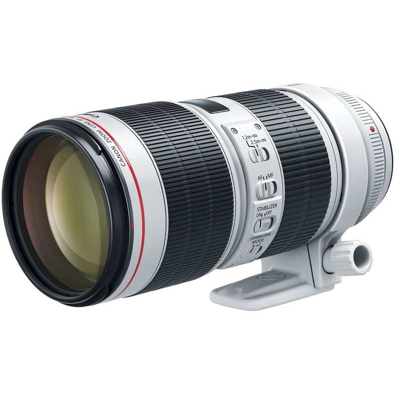 Canon - 70 mm to 200 mmf/2.8 - Telephoto Zoom Lens for Canon EF - Thumbnail 2