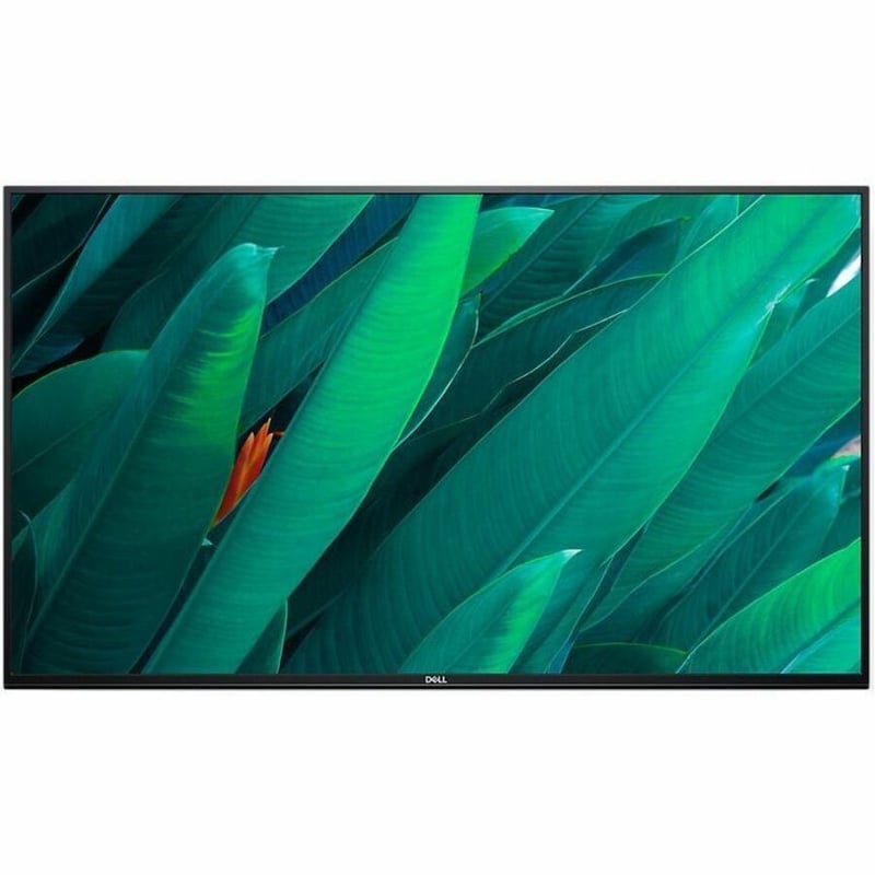 Dell P5524Q 55" Class 4K UHD LED Monitor - 16:9