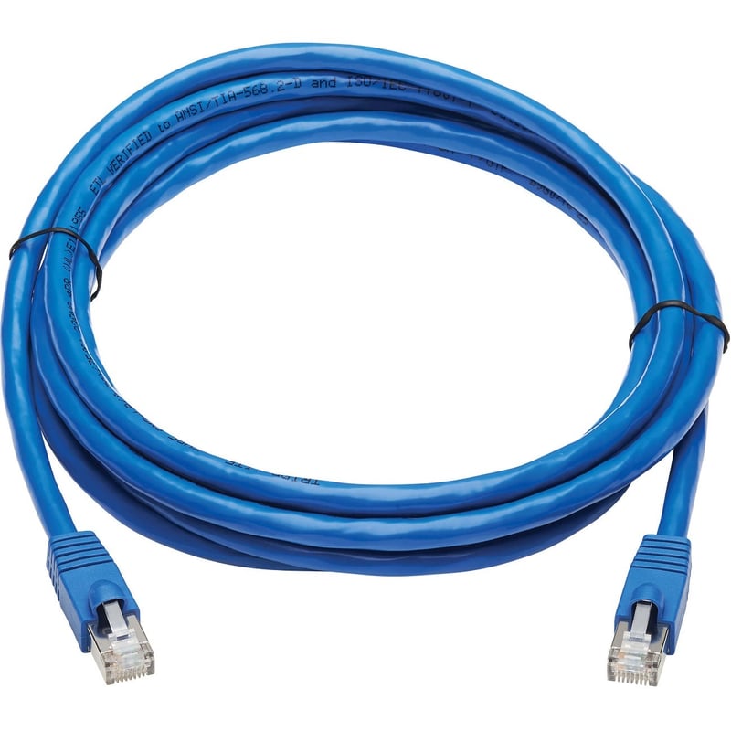 Eaton Tripp Lite Series Cat6a 10G Snagless F/UTP Ethernet Cable (RJ45 M/M), PoE, CMR-LP, Blue, 10 ft. (3.05 m) - Thumbnail 1