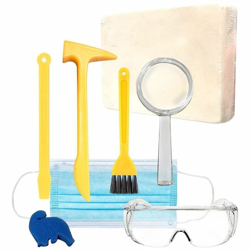 BEGINNER LEVEL, DELUXE STEAM / STEM KIT - Thumbnail 3