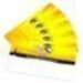 WaspTime Employee Time Cards - RF proximity card (50 Pack)