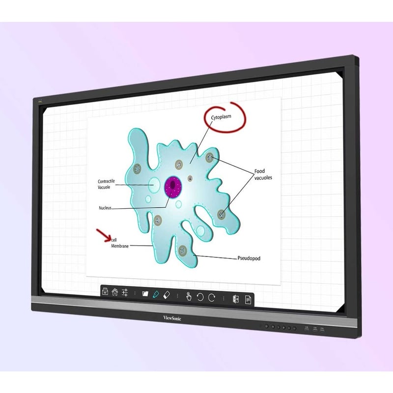 ViewSonic ViewBoard IFP7550-E2 - 4K Interactive Display with WiFi Adapter and Mobile Trolley Cart - 350 cd/m2 - 75" - Thumbnail 2