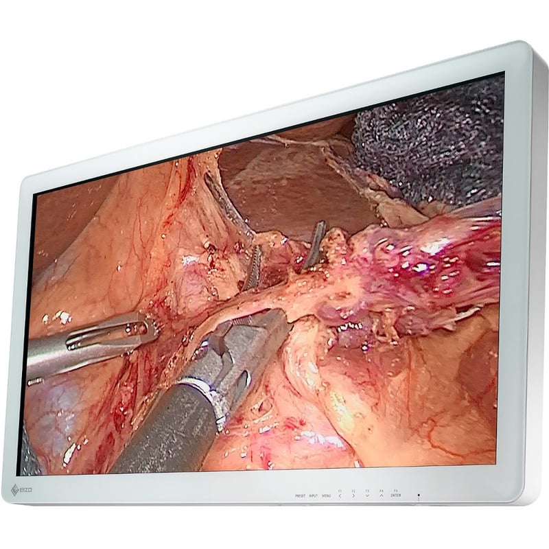 EIZO CuratOR EX3220 Full HD LCD Monitor - 16:9 - White - Thumbnail 2