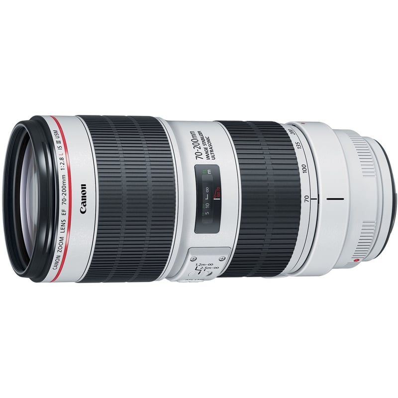Canon - 70 mm to 200 mmf/2.8 - Telephoto Zoom Lens for Canon EF - Thumbnail 1