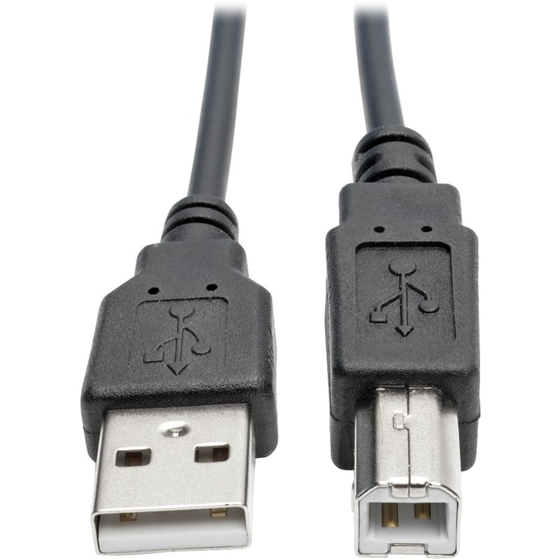 Eaton Tripp Lite Series USB 2.0 A to B Coiled Cable (M/M), 10 ft. (3.05 m) - Thumbnail 3