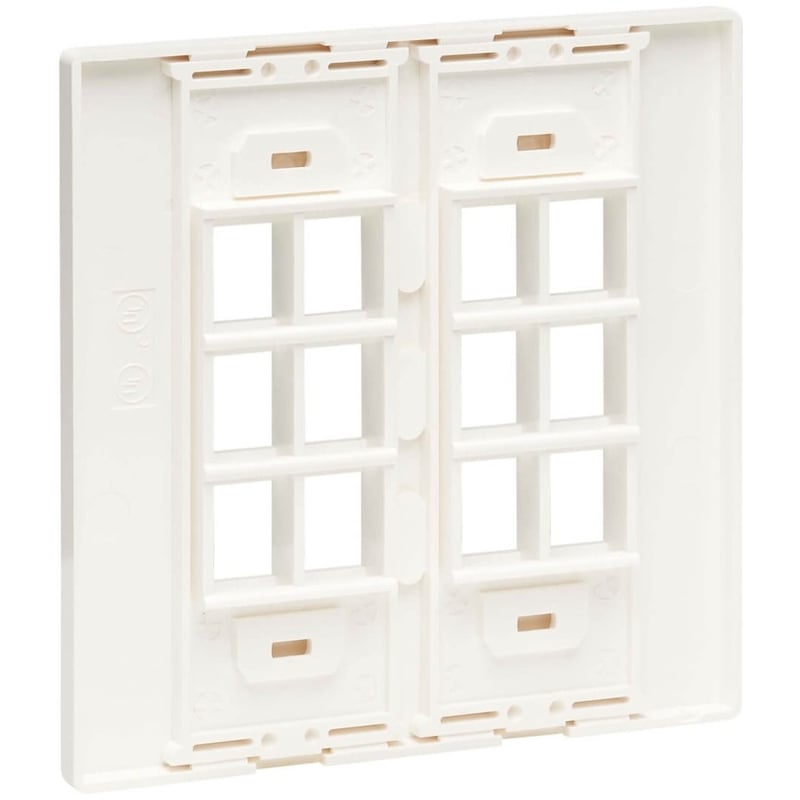 Tripp Lite by Eaton Keystone Wall Plate 12Port Cat5e/Cat6/Cat6a USB HDMI DisplayPort - Thumbnail 2