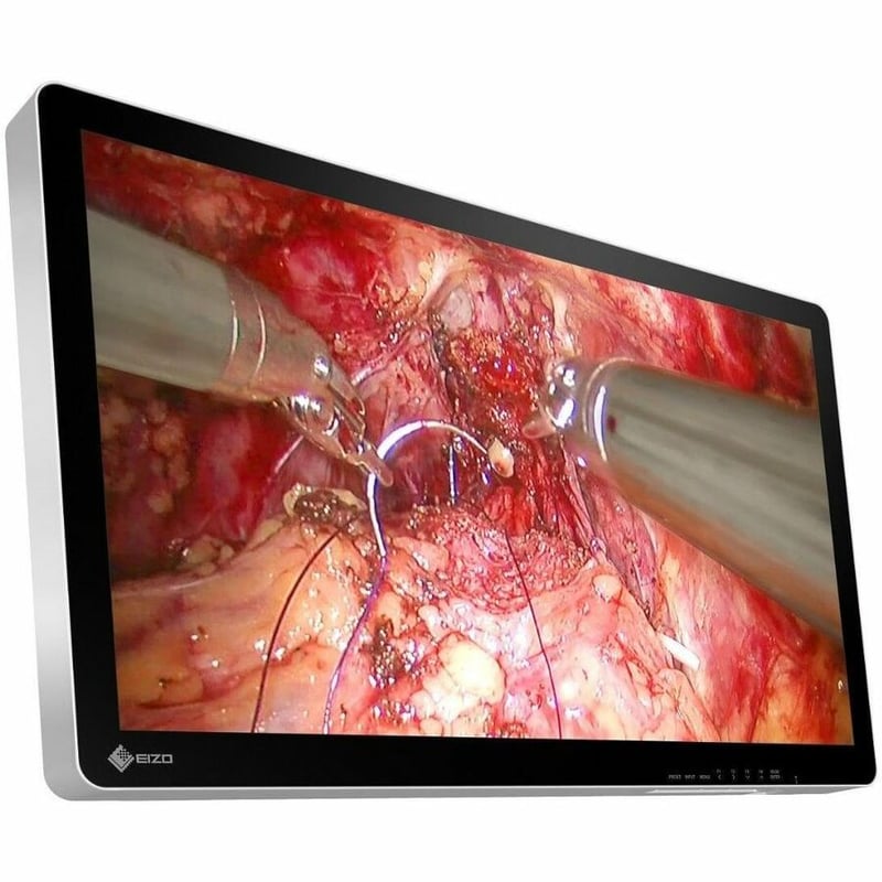 EIZO CuratOR EX3242-3D 32" Class 4K UHD LED Monitor - 16:9 - White