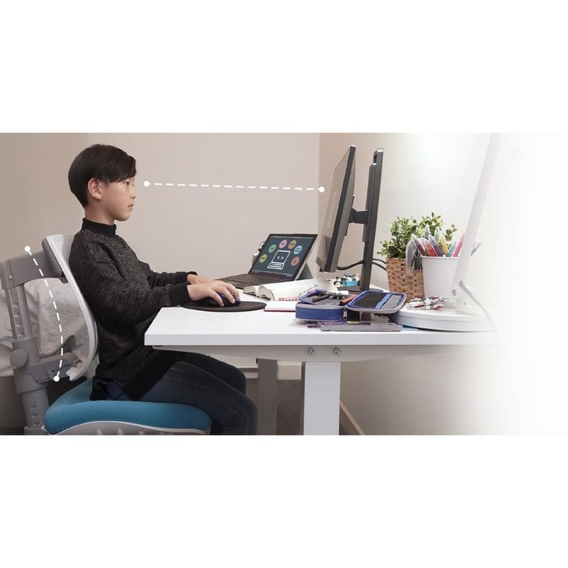 BenQ GW2480T 24" Class Full HD LCD Monitor - 16:9 - Black