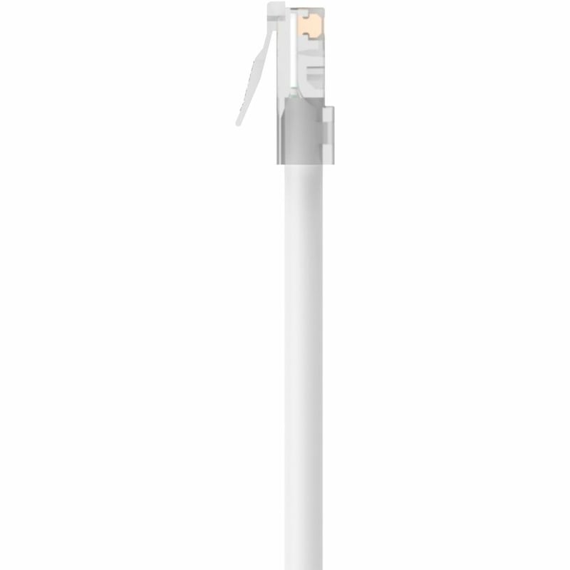 Belkin Cat5e Patch Cable - Thumbnail 5