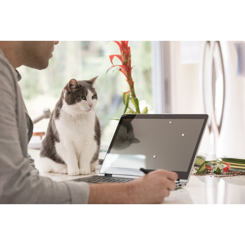 HP PAVILION X360 CONVERTIBLE 15-DQ0077NR,CORE I5-8265U QC, UMA, 8GB, 15.6IN FHD