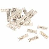Ortronics Voice/Data Icon (2-Sided) For Keystone Jacks And Patch Panels