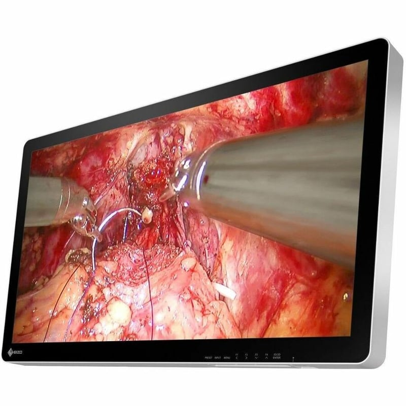 EIZO CuratOR EX3242-3D 32" Class 4K UHD LED Monitor - 16:9 - White - Thumbnail 4