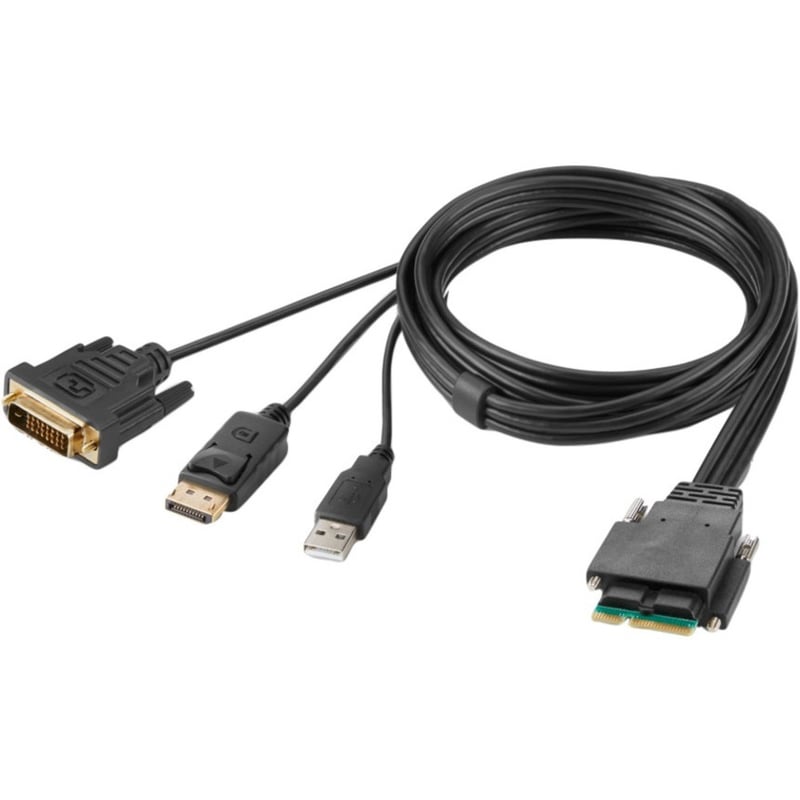 Belkin Modular DVI and DP Dual Head Host Cable 6 Feet - Thumbnail 1