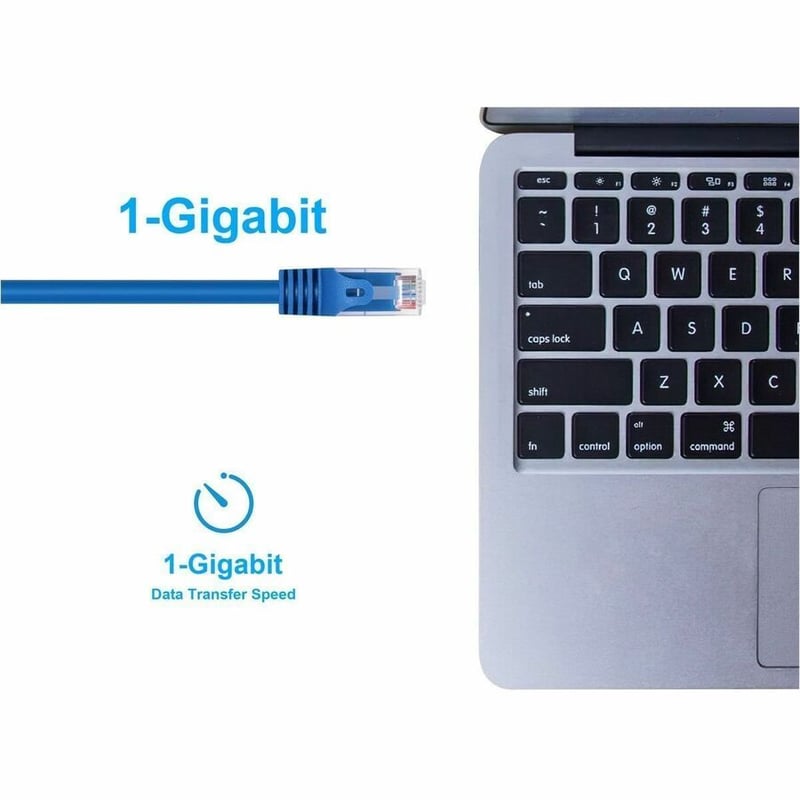 CAT5E PATCH CABLE_ 30FT BLUE - Thumbnail 5