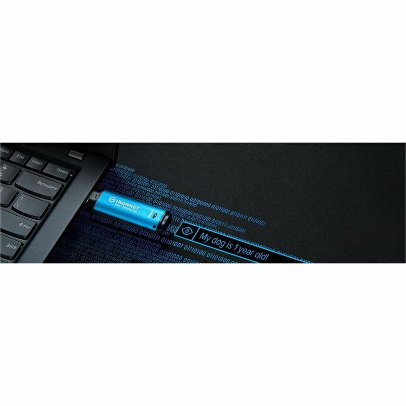 256GB IRONKEY VAULT PRIVACY 50 AES-256 ENCRYPTED FIPS 197 - Thumbnail 4