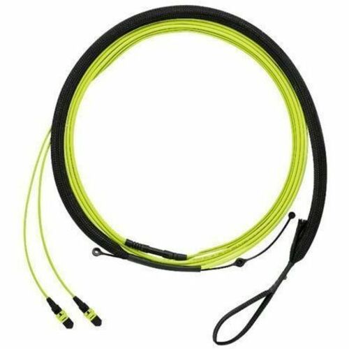 Panduit QuickNet PanMPO Female Trunk Cable Assembly, HD Flex Transition