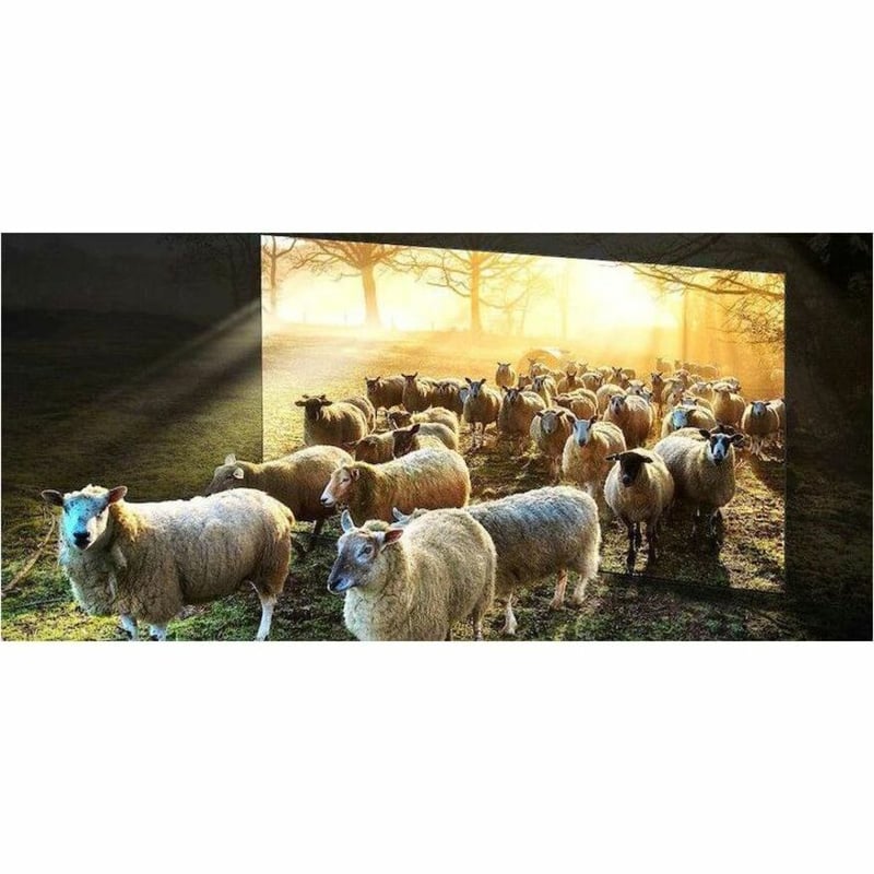 Samsung QN900D QN85QN900DF 84.5" Smart LED-LCD TV - 8K UHD - High Dynamic Range (HDR) - Thumbnail 5