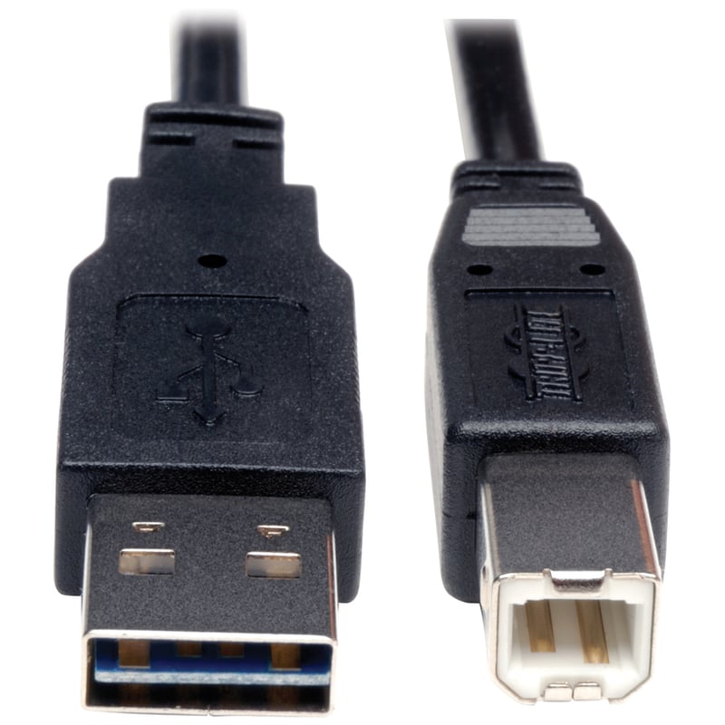 Eaton Tripp Lite Series Universal Reversible USB 2.0 Cable (Reversible A to B M/M), 10 ft. (3.05 m) - Thumbnail 2