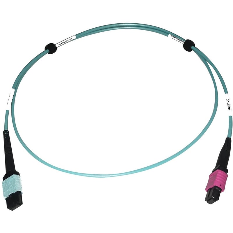 Eaton Tripp Lite Series 400G Multimode 50/125 OM4 Plenum Fiber Optic Cable, 24F MTP/MPO-UPC to 16F MTP/MPO-UPC (F/F), Aqua, 1 m - Thumbnail 2