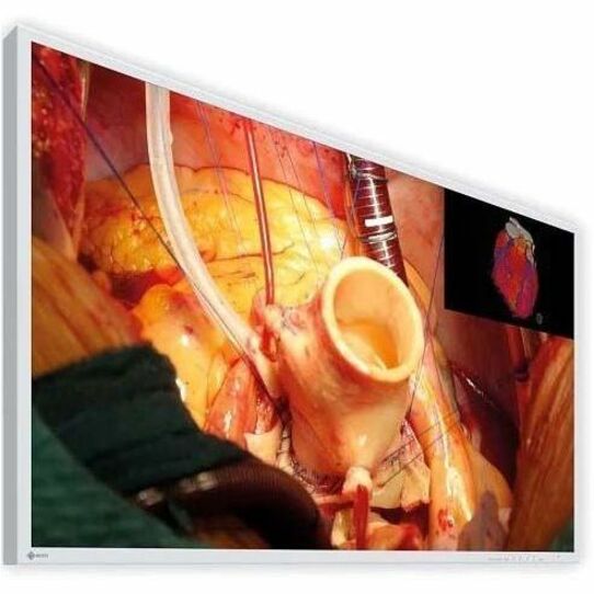 EIZO CuratOR EX4342 43" Class 4K UHD LED Monitor - 16:9 - White - Thumbnail 5