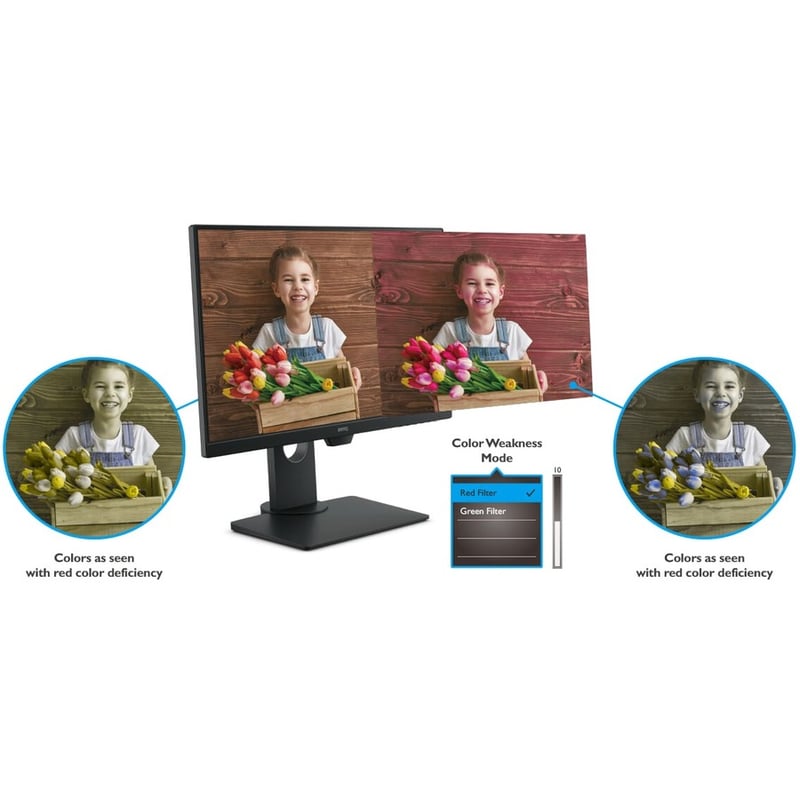 BenQ GW2480T 24" Class Full HD LCD Monitor - 16:9 - Black