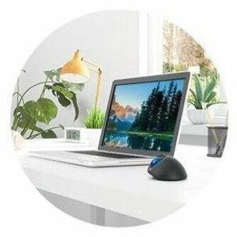 Kensington Pro Fit Ergo TB450 Trackball - Thumbnail 4