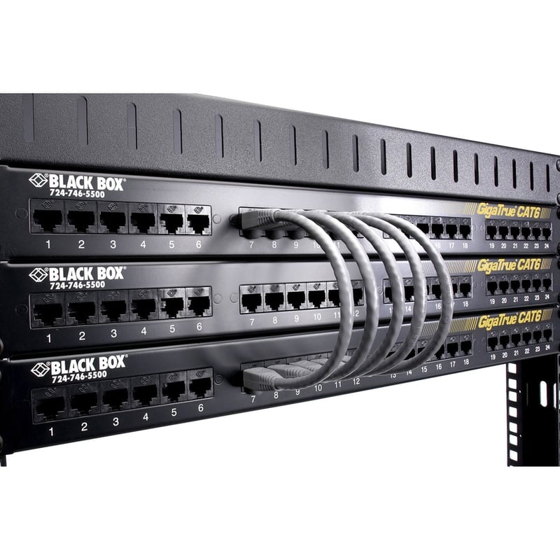 Black Box GigaTrue Cat.6 UTP Patch Network Cable - Thumbnail 2