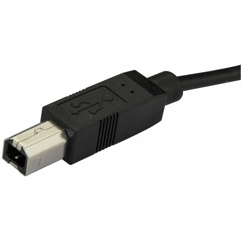 StarTech.com 2m 6 ft USB C to USB B Cable - M/M - USB 2.0 - USB Type C Printer Cable - USB 2.0 Type-C to Type-B Cable - Thumbnail 4