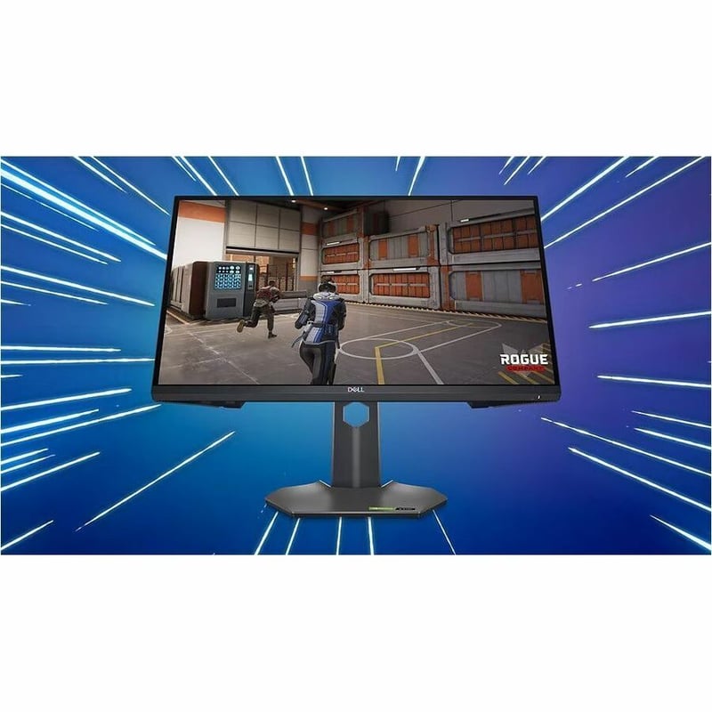 DELL 25 GAMING MONITOR