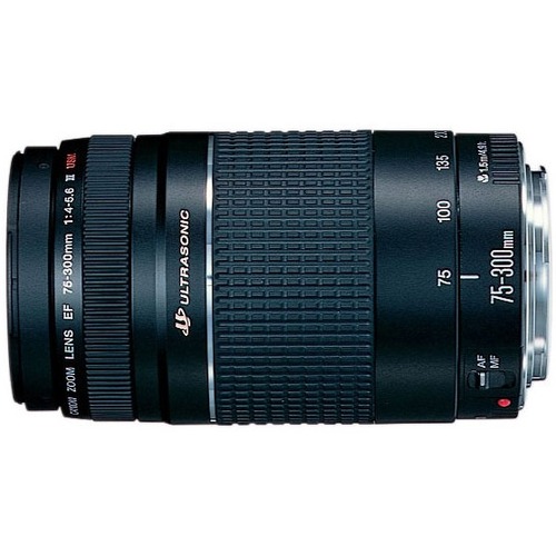 Canon EF 75-300mm f/4-5.6 III Telephoto Zoom Lens - Thumbnail 1
