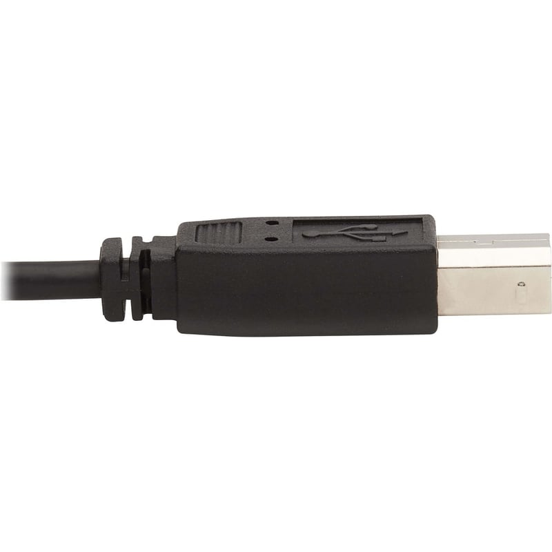 Eaton Tripp Lite Series DVI KVM Cable Kit, 3 in 1 - DVI, USB, 3.5 mm Audio (3xM/3xM) 10 ft. (3.05 m) - Thumbnail 5